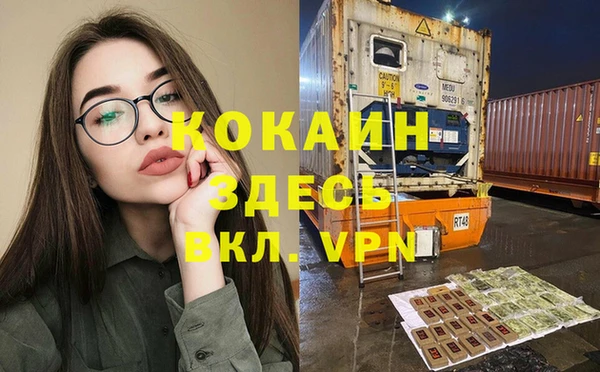гидра Володарск